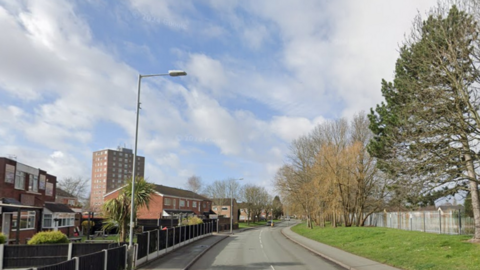 Houses stand on one side of the street with fences separating each garden and a lamppost is also outside one home. Trees can be seen on the right side with a grass verge and more fencing. 