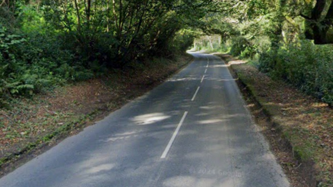 An empty rural road surrounded by trees and bushes
