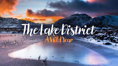 The Lake District: A Wild Year