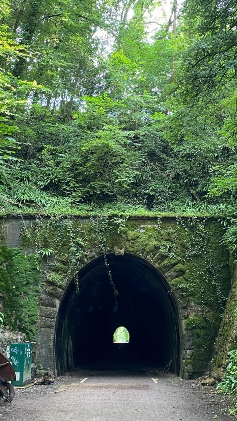 A path runs through an old railway tunnel. The mouth of the tunnel is made of large grey stones, some of which are covered in moss. There's a bank of trees and plants above the mouth of the tunnel.