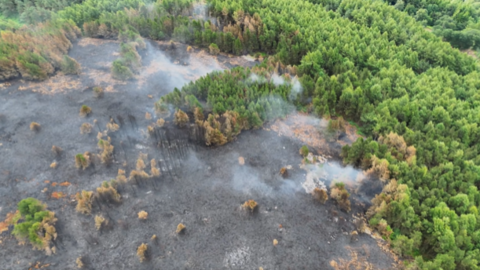 A drone view of burning on the moors and woodland