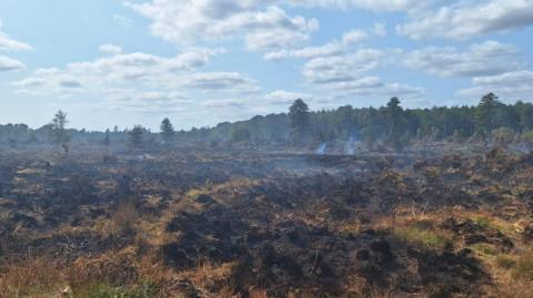 A wide area of heath and forest blacked, burnt and smoking