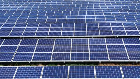 Many rows of large blue solar panels on white grids.