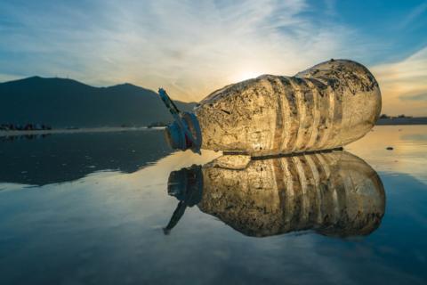 plastic bottle on a beach