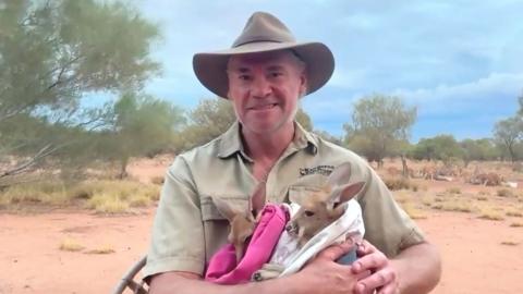 Chris 'Brolga' Barns holding two kangaroo joeys