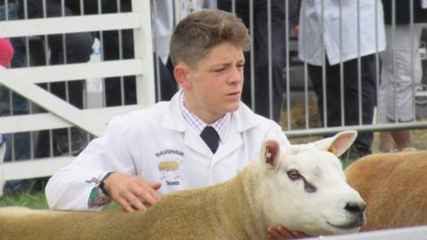 Aaron Bell, wearing a white coat, with sheep at a show 