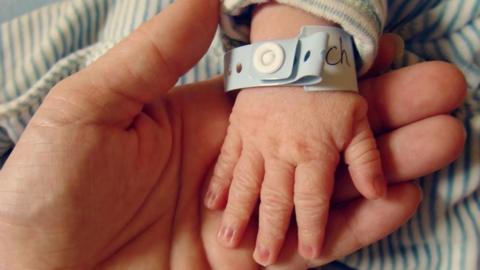 Newborn baby's hand, with a hospital identification wristband round it, being held by their mother