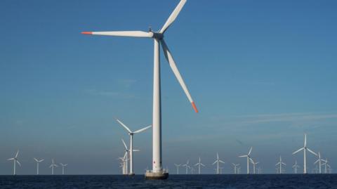 An array of about 30 offshore wind turbines. They are white with red-tipped blades. They are set against a blue sky.