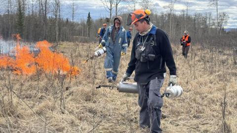A man in an orange hard hat and black workwear carries gas cannister as a team behind him works on a controlled burn. There are four men behind him and they was through dry brush. There is a small fires to the side.
