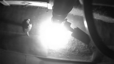 Black and white still from CCTV camera