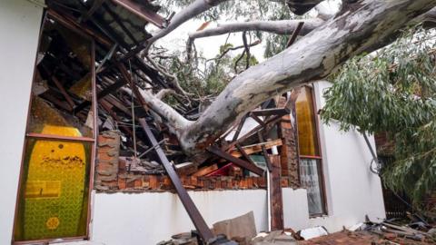 A damaged home is pictured after a tree uprooted by strong winds crashed into the structure in the suburb of Elanora as Cyclone Alfred passed near the Gold Coast on March 8, 2025. Cyclone Alfred weakened into a tropical low on March 8 but still threatened to unleash major floods on swollen rivers as it approached the rain and wind-lashed eastern coast of Australia.