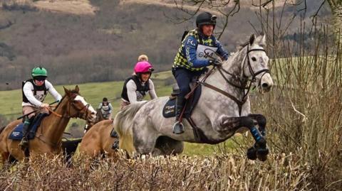 A number of horses and jockeys approach a hedge. The one in front is a grey, just taking off to jump it. The male rider wears blue and yellow chequered colours. Behind him you can see the back end of a bay horse ridden by a woman with a pink hat and blond pony tail as well as a chestnut horse with a large blaze riddden by a man in a white top and green hat silk.