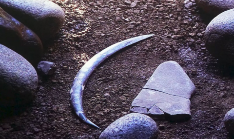 The picture shows a grey curved boomerang-shaped object. It lies on grey gravel and earth. Arranged around it are seven  large smooth round boulders and three smaller pieces of blue-grey rock.