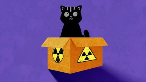 Illustration of a cat in a box covered in radioactive symbols