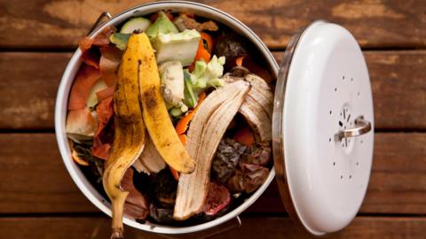 A food waste bin, including banana peels and onion peelings 