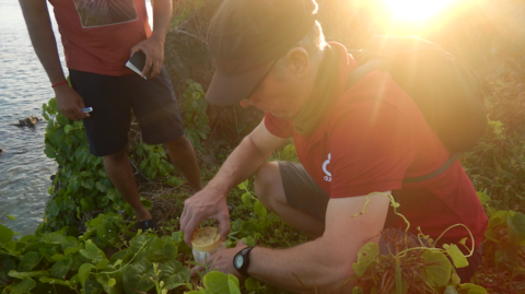 Dr Nik Cole bent down holding a jar of gecko eggs surrounded by greenery, another man and the sea in the background. The sunset is shining through behind Nik.