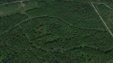 A birds eye view of woodland in Overseal