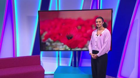 Nina on the Newsround set