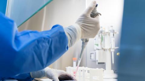 Scientists conduct scientific experiments in the biosafety cabinet of the laboratory - stock photo.