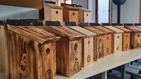 Wooden bird boxes lined up next to each other on a table. They all have small holes on the front for a bird to get inside.