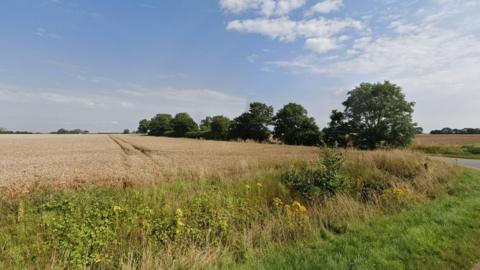 Fields and trees in the distance