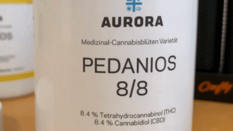 Close-up of a white medical cannabis container labelled “AURORA PEDANIOS 8/8”. The label states “Medizinal-Cannabisblüten Varietät” and lists 8.4% tetrahydrocannabinol (THC) and 8.4% cannabidiol (CBD). The container sits on a wooden surface, with other blurred prescription containers visible in the background.