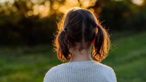 Rear view of little girl with ponytails, during sunset.