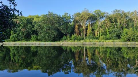 SATURDAY - A still body of water surrounded by green trees in Earley. The trees are reflected in the blue water and on the far bank there is a white fence. Overhead the sky is a clear blue.