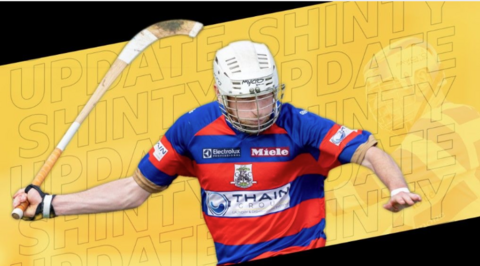 Shinty player