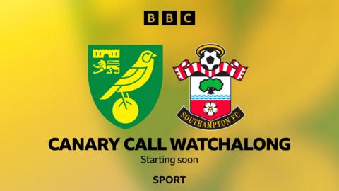 Norwich City crest and Southampton badge