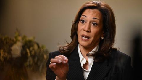 A photograoh of Kamala Harris waving her hands in the air. She is wearing a dark coloured suit with a white shirt.