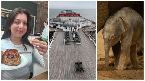 A collage showing three images. 1. A female student holding a scone on a plate 2. Cromer pier seen from above 3. A baby elephant standing up