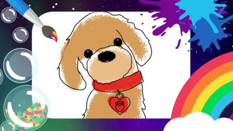 Waffle the wonder dog