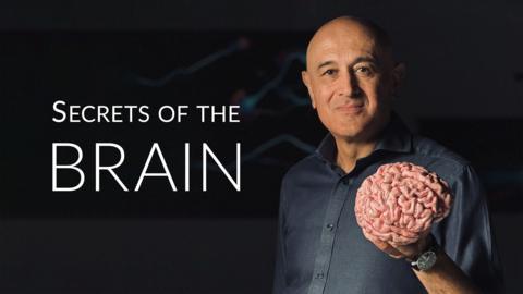 Secrets of the Brain
