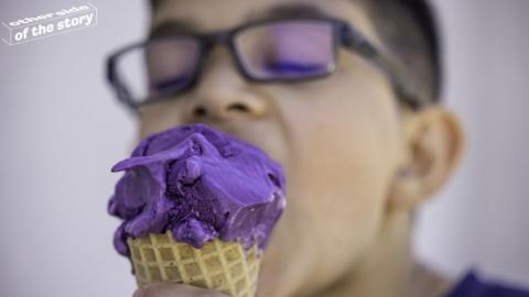 Ube ice cream
