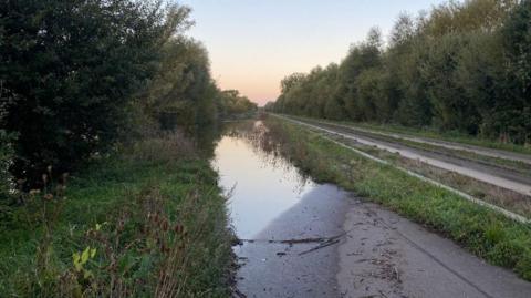 A photo of the busway, which has concrete grooves between grassy sections, with a flooded path next to it. There are hedges on either side.