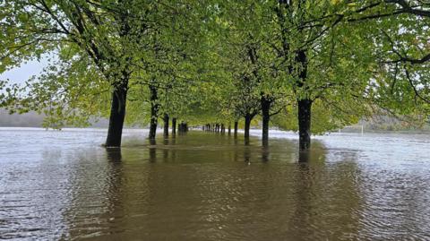 Flooded field and park with trees and a football goalpost standing in water