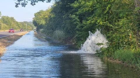 Flooded road with water gushing through vegetation on the right and a road to the left of the flood.