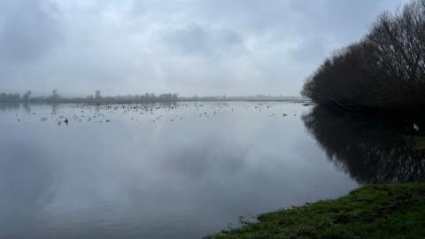 A thin layer of mist covers a large expanse of water. There are trees on the horizon and on the left-hand side of the picture where you can also see the bank of the river covered in green grass.