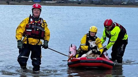 A firefighter in sat in a red inflatable raft holding a sheep while two other firefighters are wading alongside through the water. All are wearing high visibility clothing and helmets.