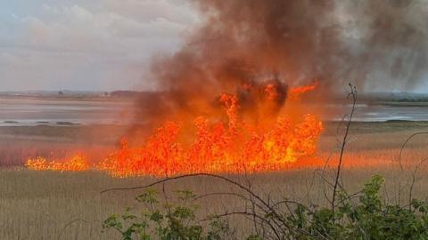 A section of reed bed burns intensely, with red flames and black smoke billowing into the sky.