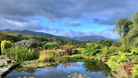 A grey cloudy sky over mountains is reflected in a garden pond