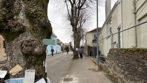 The three lime trees lining a pavement on the left in a residential street. There are notes and strings tied to the tree at the front of the image. There is a wall on the right, and fencing with housing behind it.