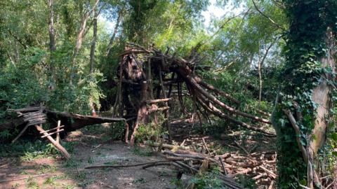 A treehouse in a wooded area is being demolished, branches that previously made up the structure have been taken down and are in piles on the floor.