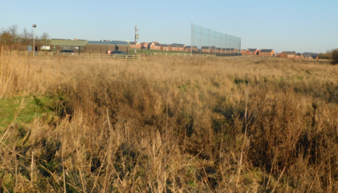 An area of land covered in long grass with a sports ground and houses to the rear