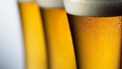 Three beers of lager, close up.