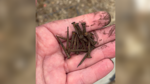 Somebody holding several rusty nails in their hand.