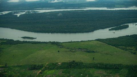 An aerial shot captures a section of the Amazon rainforest used for cattle farming