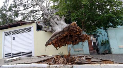 A tree fallen due to heavy rains is seen in a neighborhood in Sao Paulo, Brazil, on 12 October.