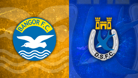 Bangor v Dungannon Swifts
